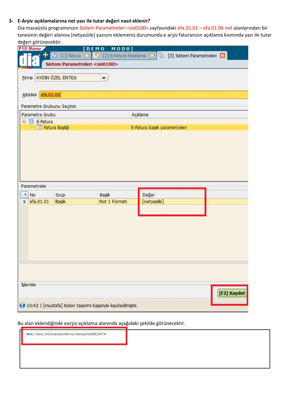 DİA e-Arşiv netyaziile parametresi