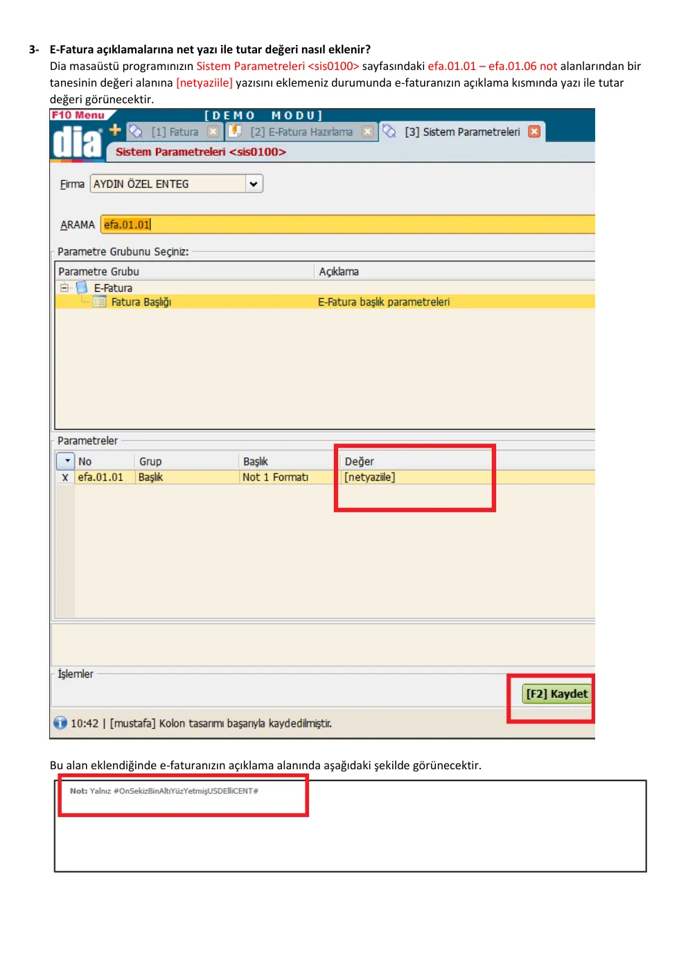 DİA e-Fatura netyaziile parametresi